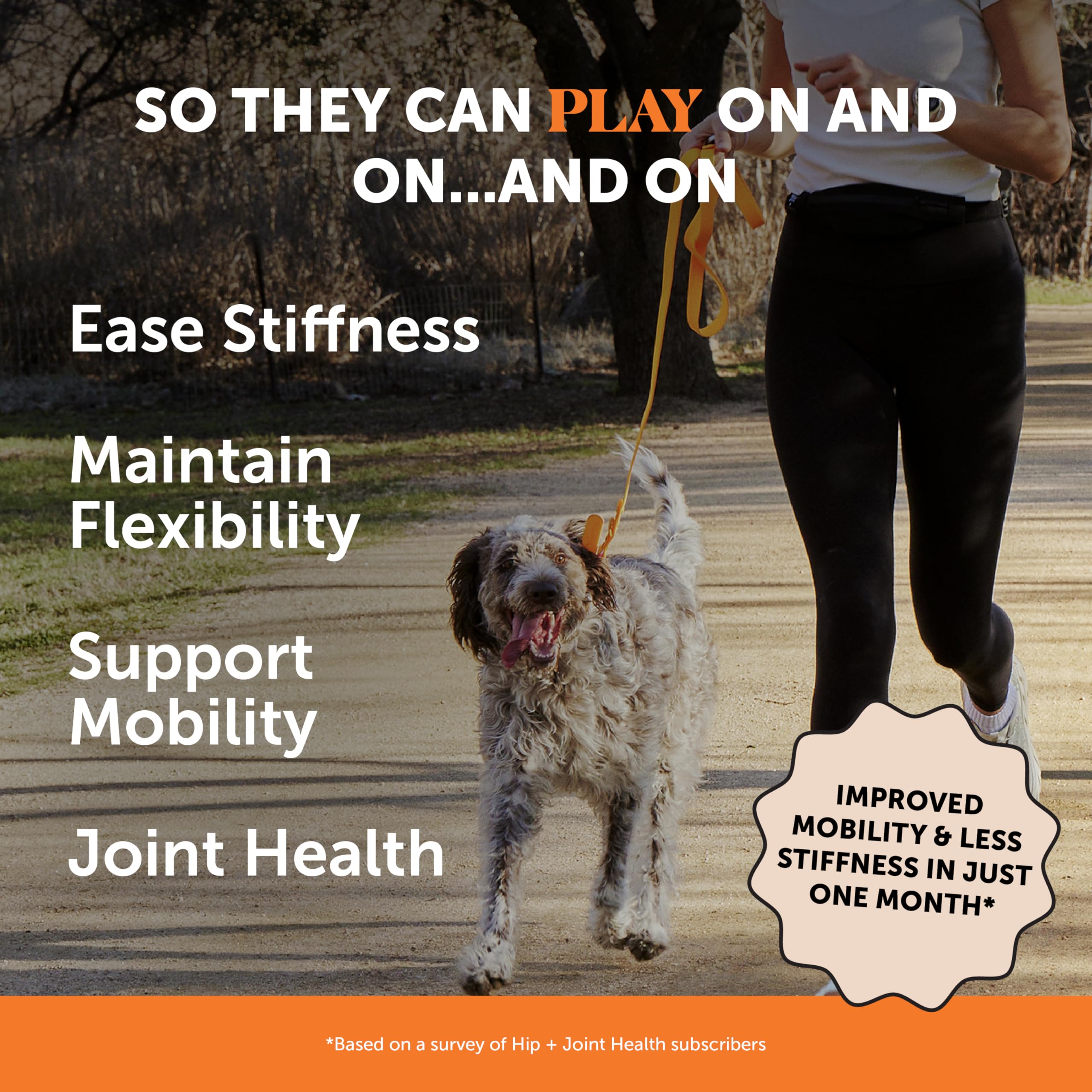 Pet Honesty hip and joint soft chews on plate highlighting flavor and joint care