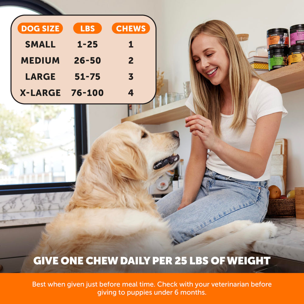 Dog in motion with Pet Honesty Hip & Joint Soft Chews for mobility support