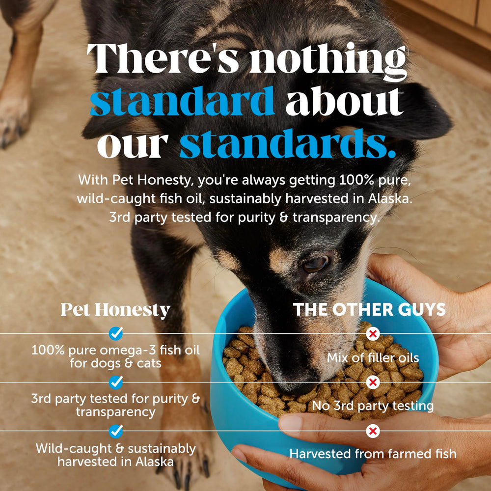 Joint mobility support from Pet Honesty Omega-3 supplement.