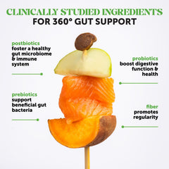 Pet Honesty Max Strength dog chews natural chicken flavor supporting gut comfort after meals.
