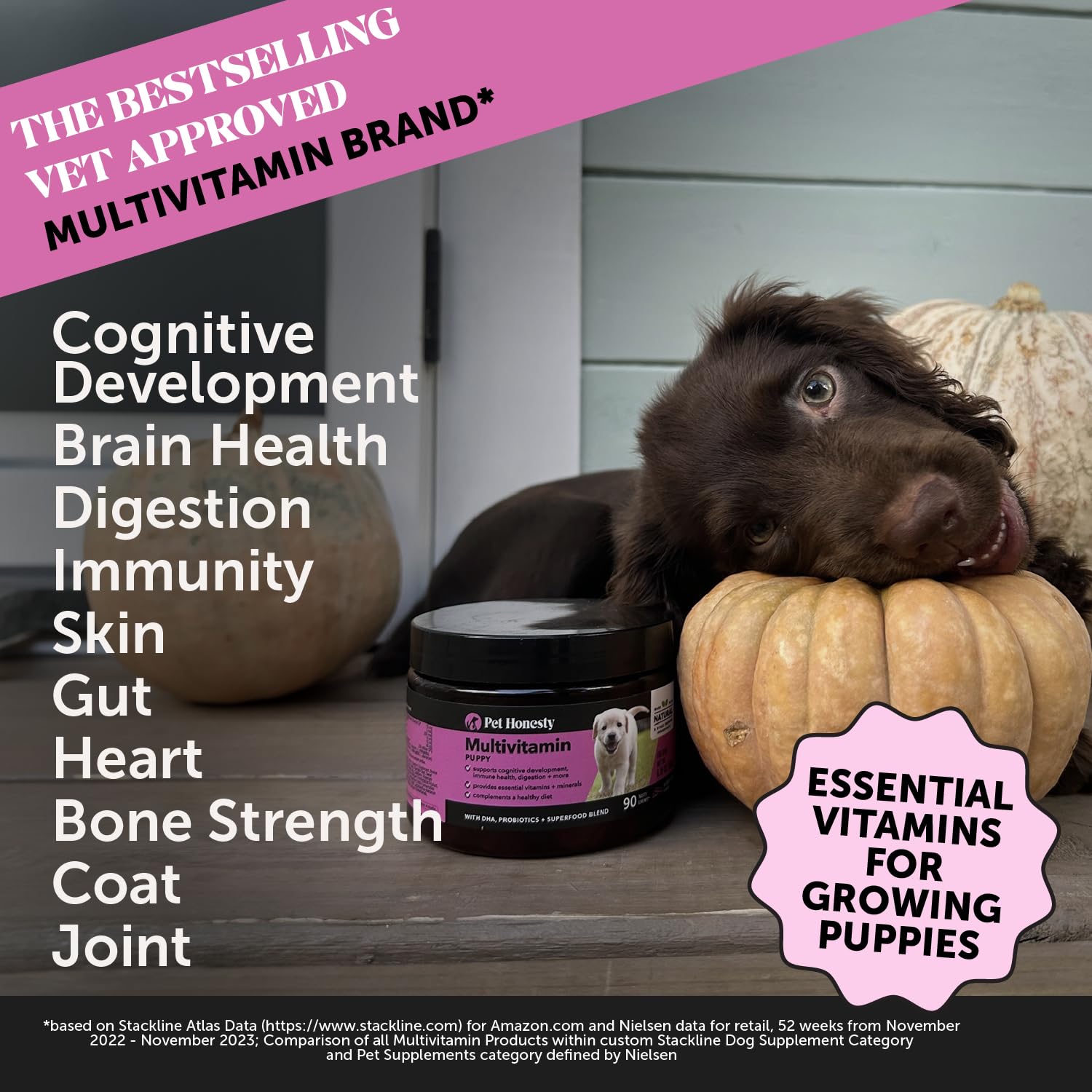 Pet Honesty multivitamin chew close-up showcasing soft texture.