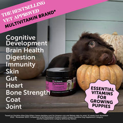 Pet Honesty multivitamin chew close-up showcasing soft texture.