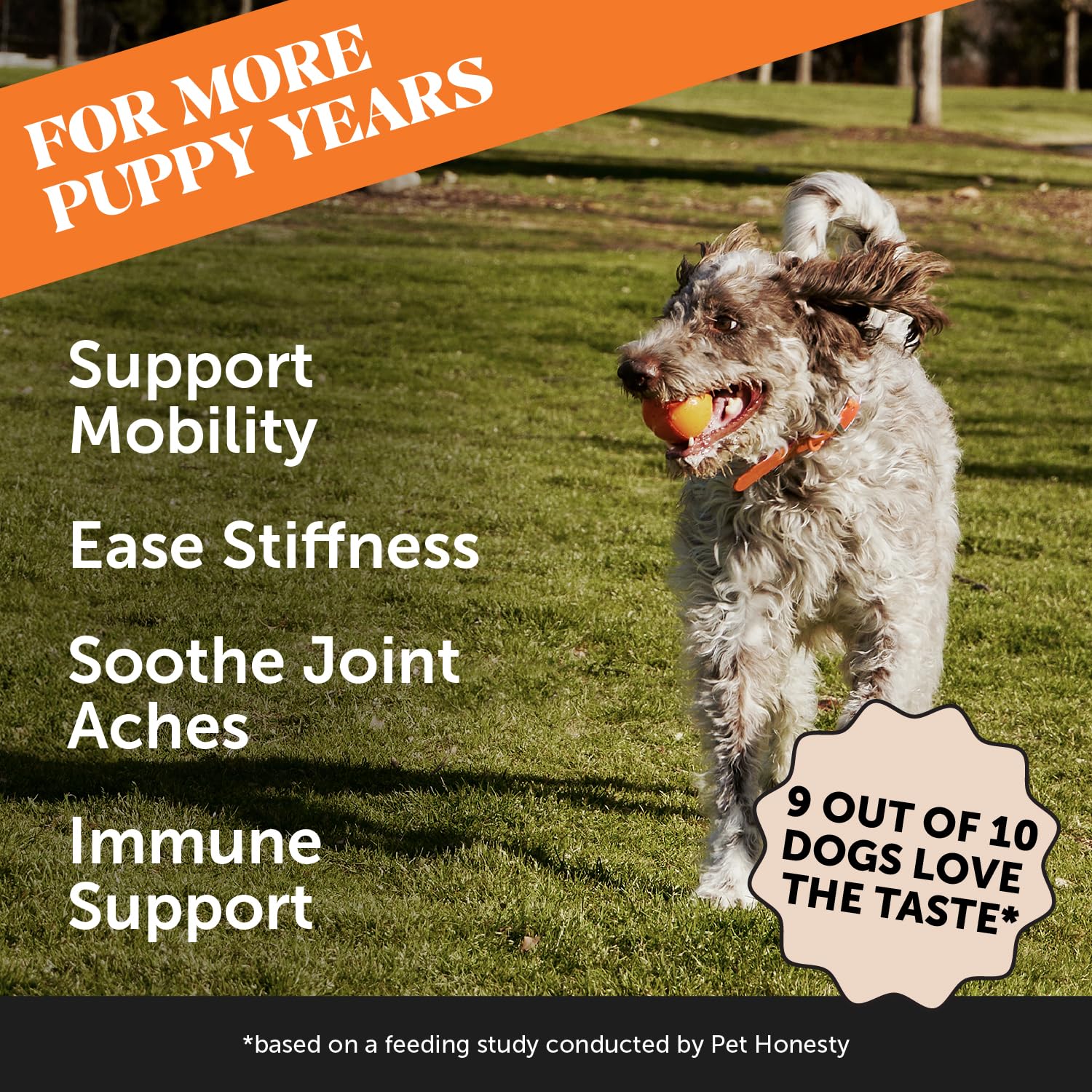 Pet Honesty omega-3 fish oil dog supplement—supports coat and joint health.