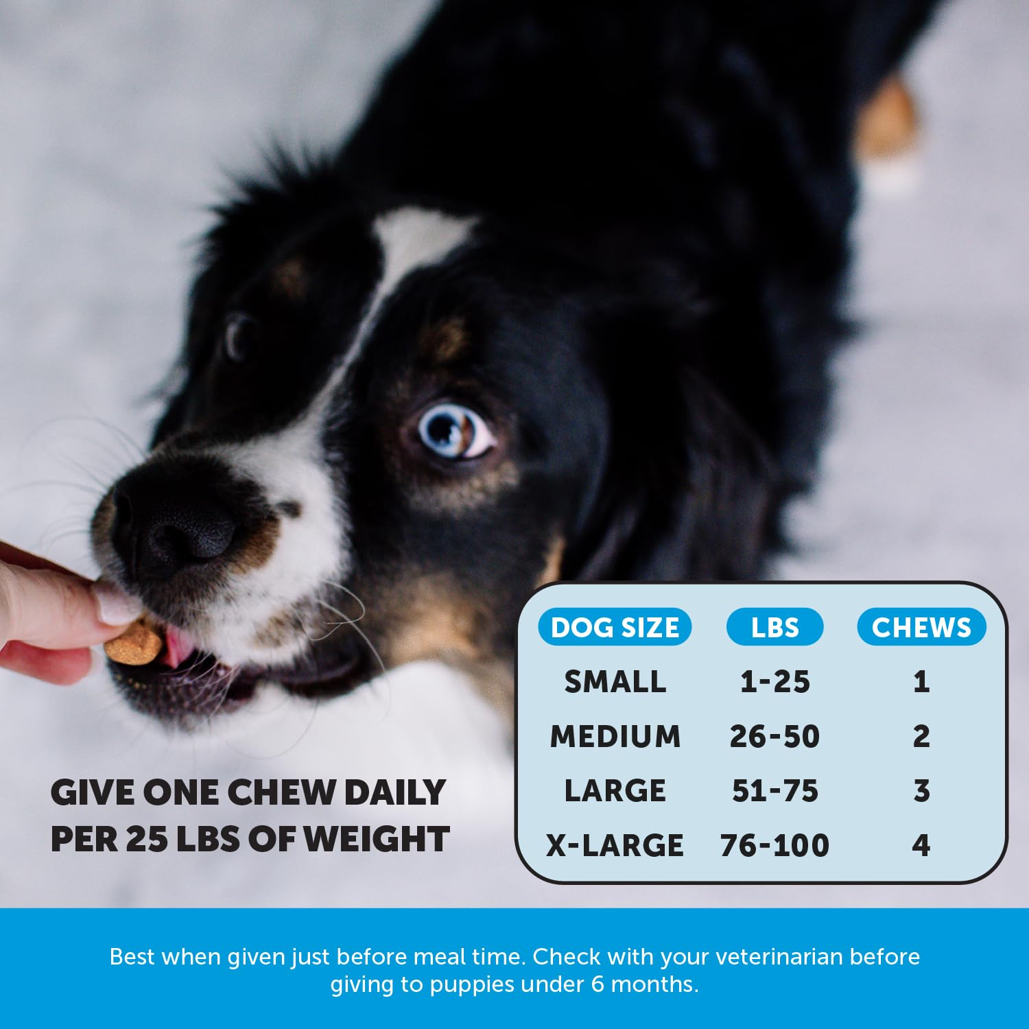 Pet Honesty Omega Skin Health chews help dogs with itchy skin