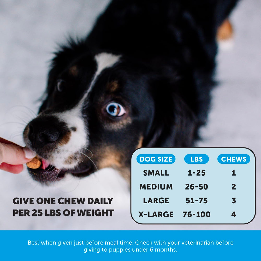 Pet Honesty Omega Skin Health chews help dogs with itchy skin