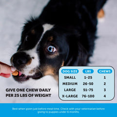 Pet Honesty Omega Skin Health chews help dogs with itchy skin