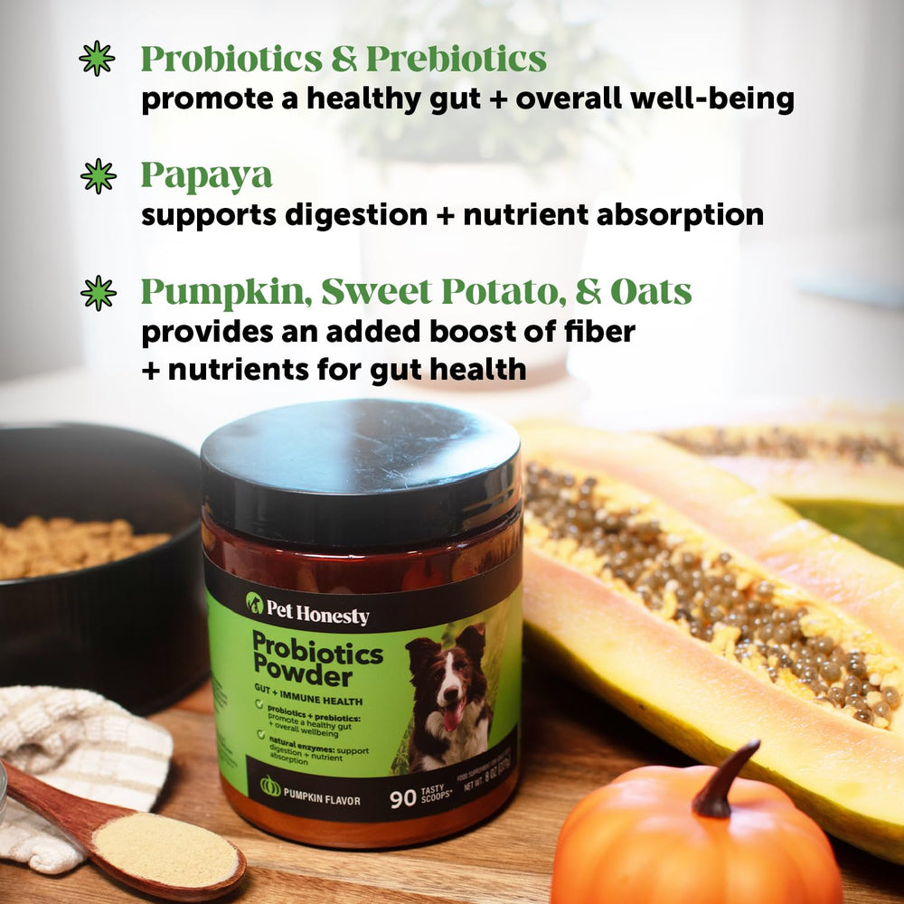 Pet Honesty pumpkin ingredients closeup highlighting natural enzymes and prebiotic fiber.