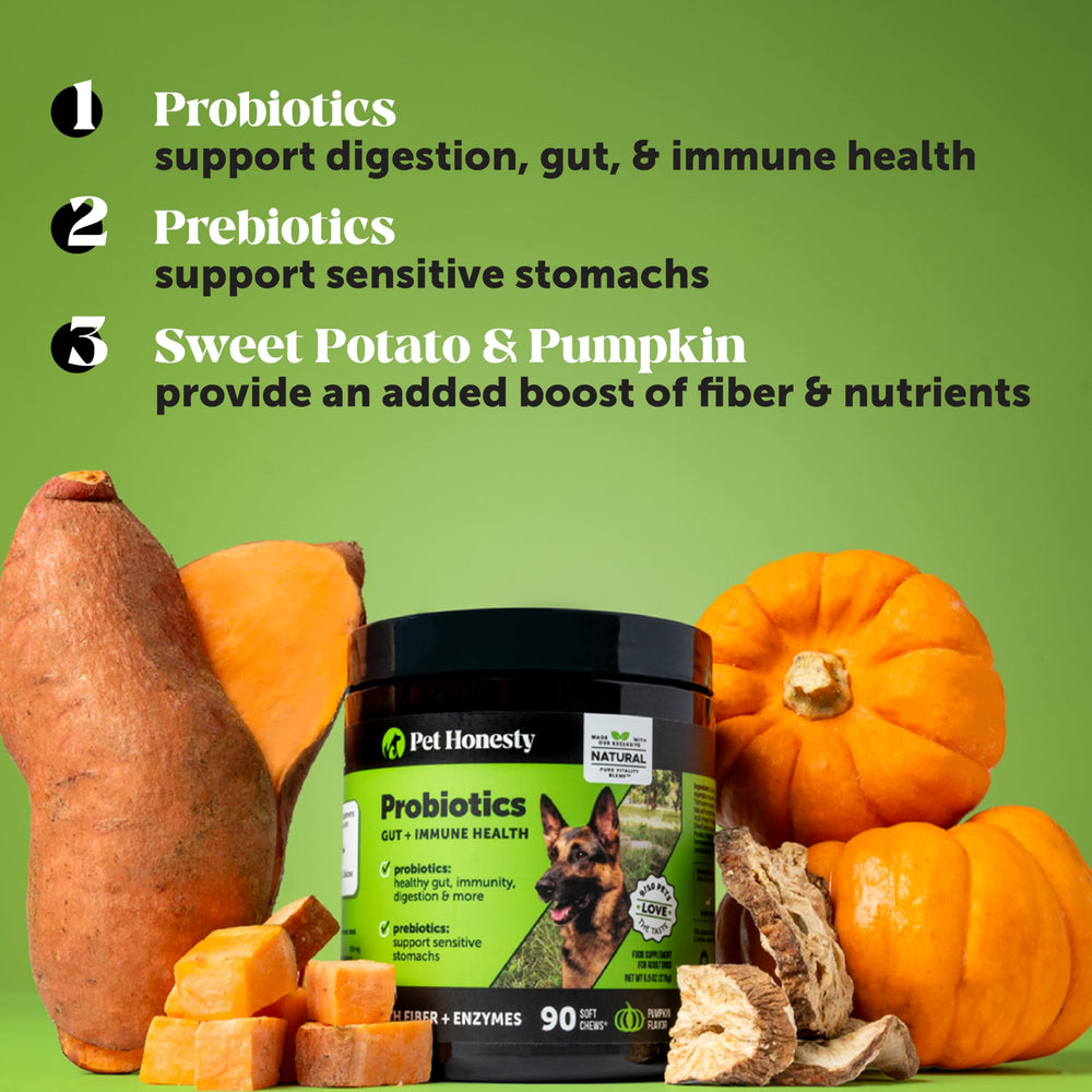 Pet Honesty pumpkin papaya digestive enzymes — natural fiber aids digestion