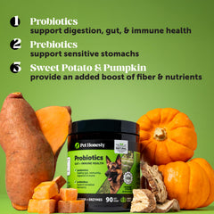 Pet Honesty pumpkin papaya digestive enzymes — natural fiber aids digestion
