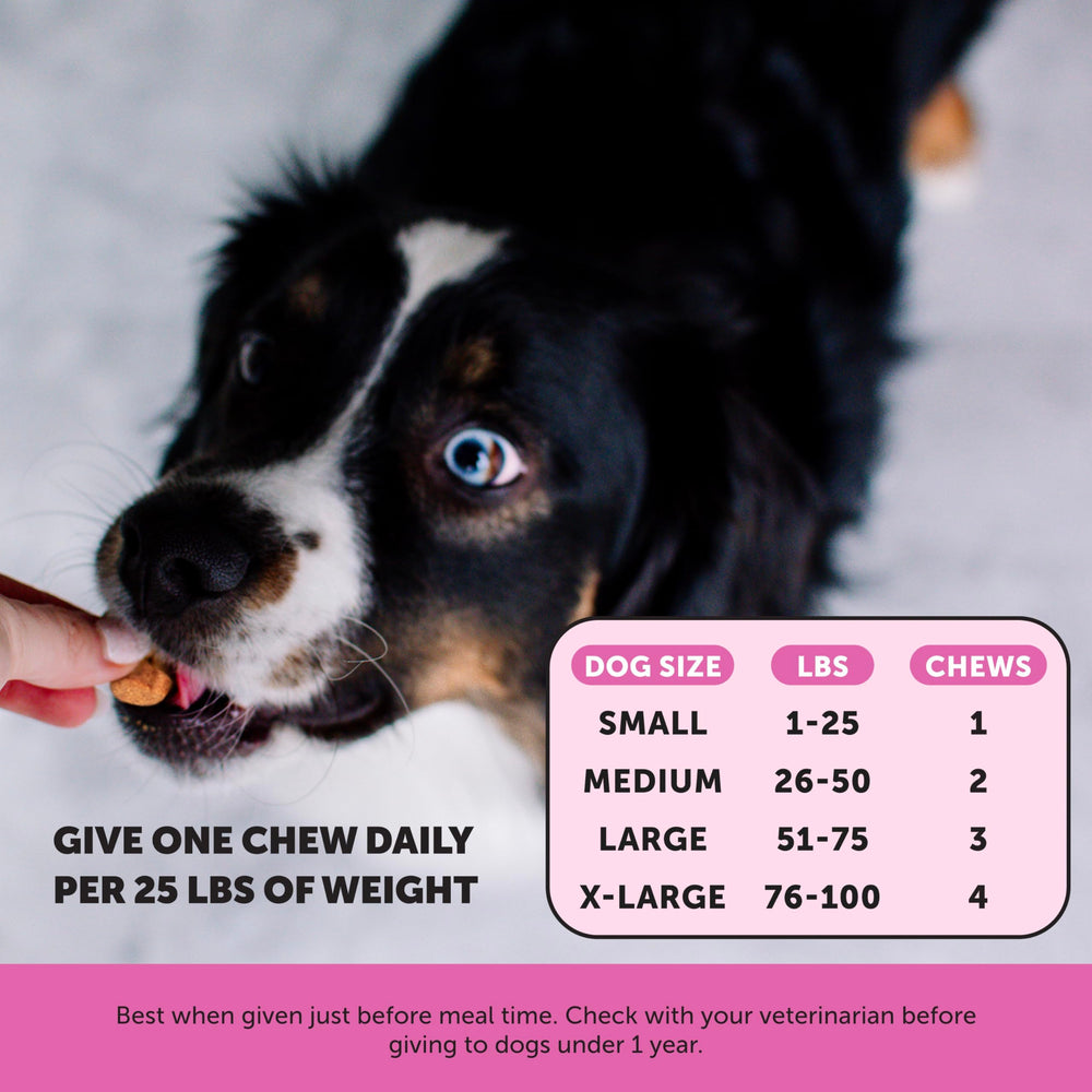 Pet Honesty Senior Dog Multivitamin probiotics image promotes digestion