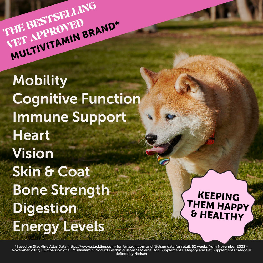 Pet Honesty Senior Dog Multivitamin soft chews duck flavor ease daily dosing
