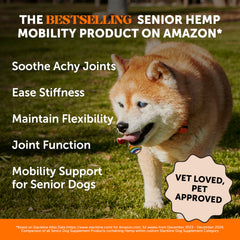 Pet Honesty Senior Hip and Joint chews closeup showing tasty texture and chew design