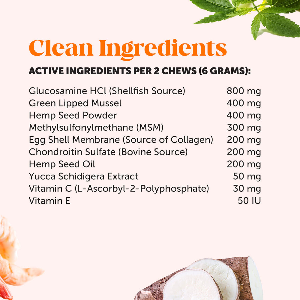 Chews served with meals from Pet Honesty for better absorption.