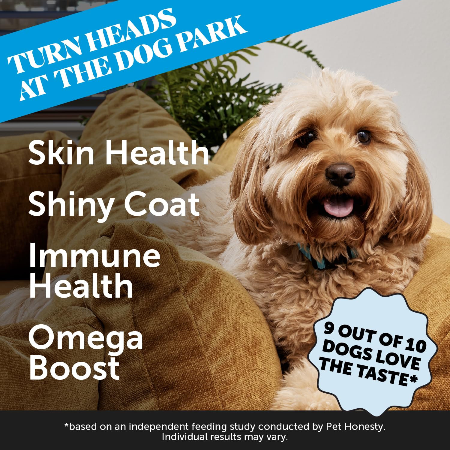 Pet Honesty Skin Health Salmon Chews close-up; omega-3 rich salmon oil for a glossy coat