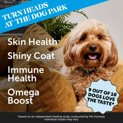 Pet Honesty Skin Health Salmon Chews close-up; omega-3 rich salmon oil for a glossy coat