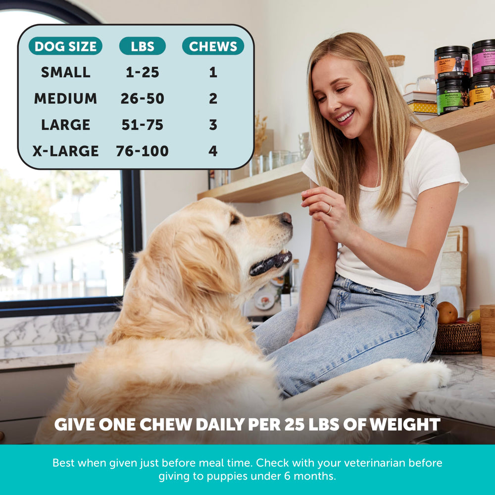Pet Honesty thunderstorm-relief chews helping a dog stay calm indoors