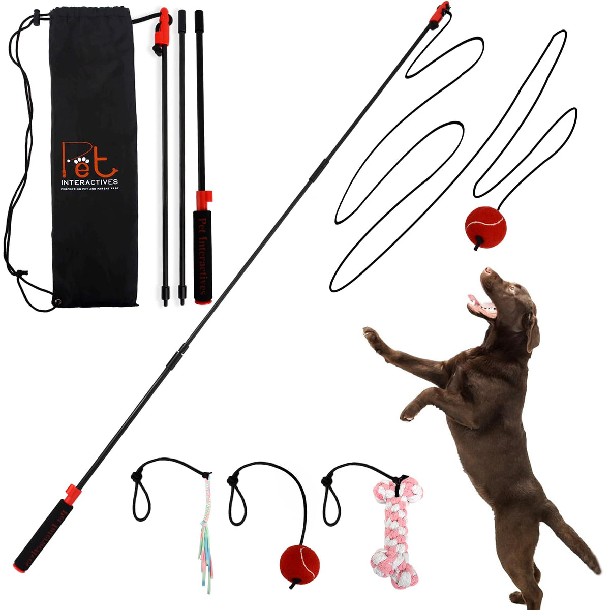 Pet Interactives PET Wrangler 2 extended pole enabling a larger play area for energetic dogs.