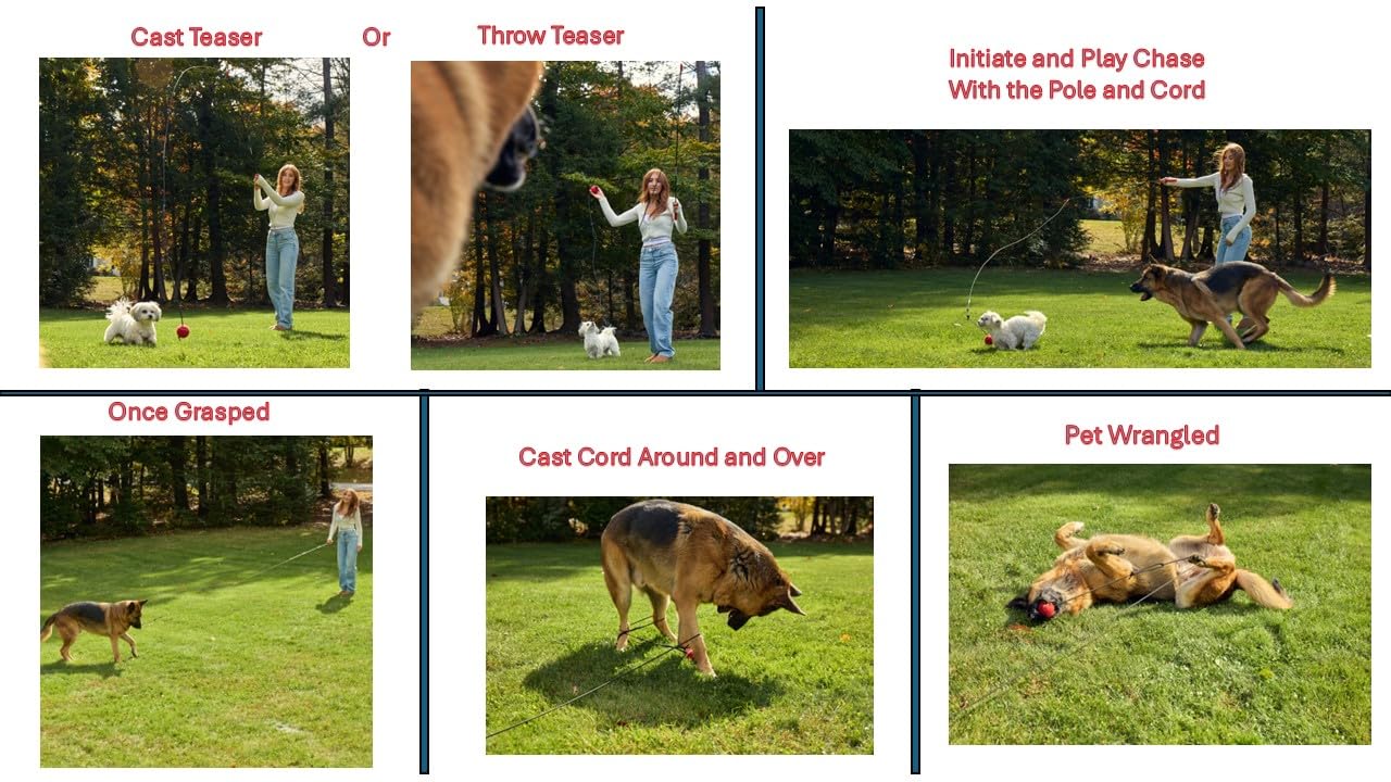 PET Wrangler 2 versatility for indoor and outdoor spaces with modular design.