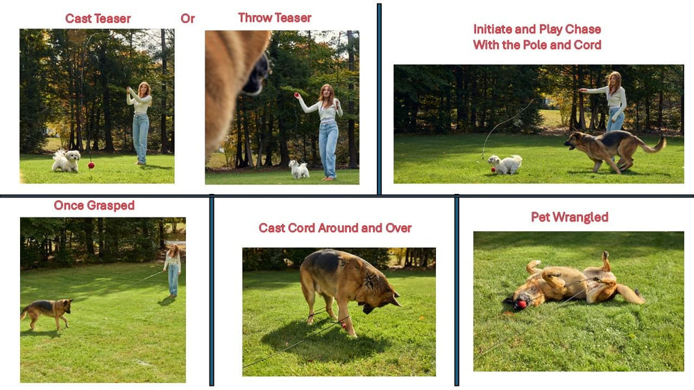 PET Wrangler 2 versatility for indoor and outdoor spaces with modular design.