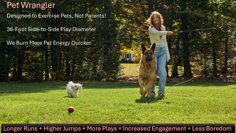 PET Wrangler 2 quick-change cord system for easy length adjustments during play.
