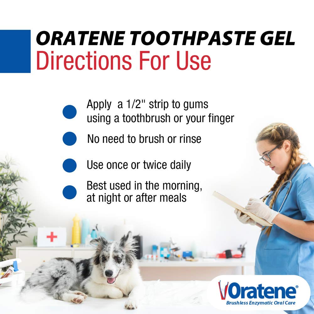 Pet using ZYMOX Oratene brushless toothpaste gel in a daily care scene