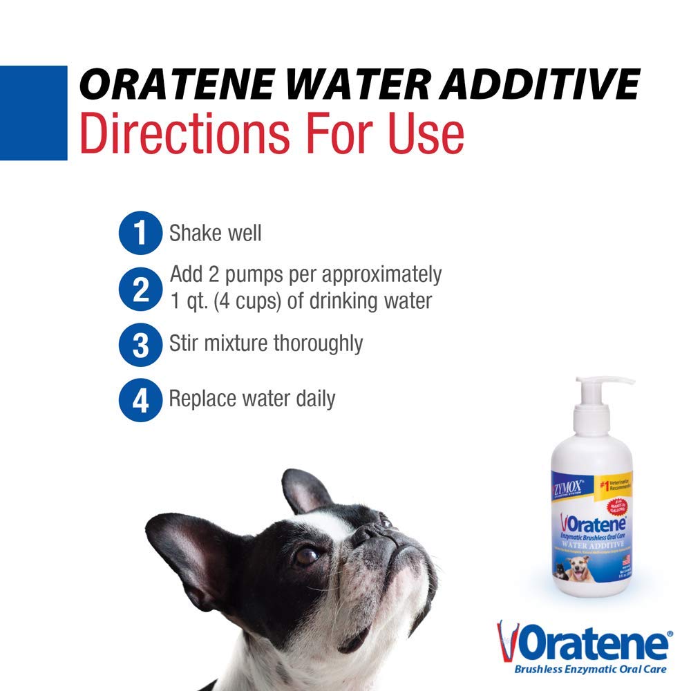 Bottle on kitchen counter ready for daily pet oral care.