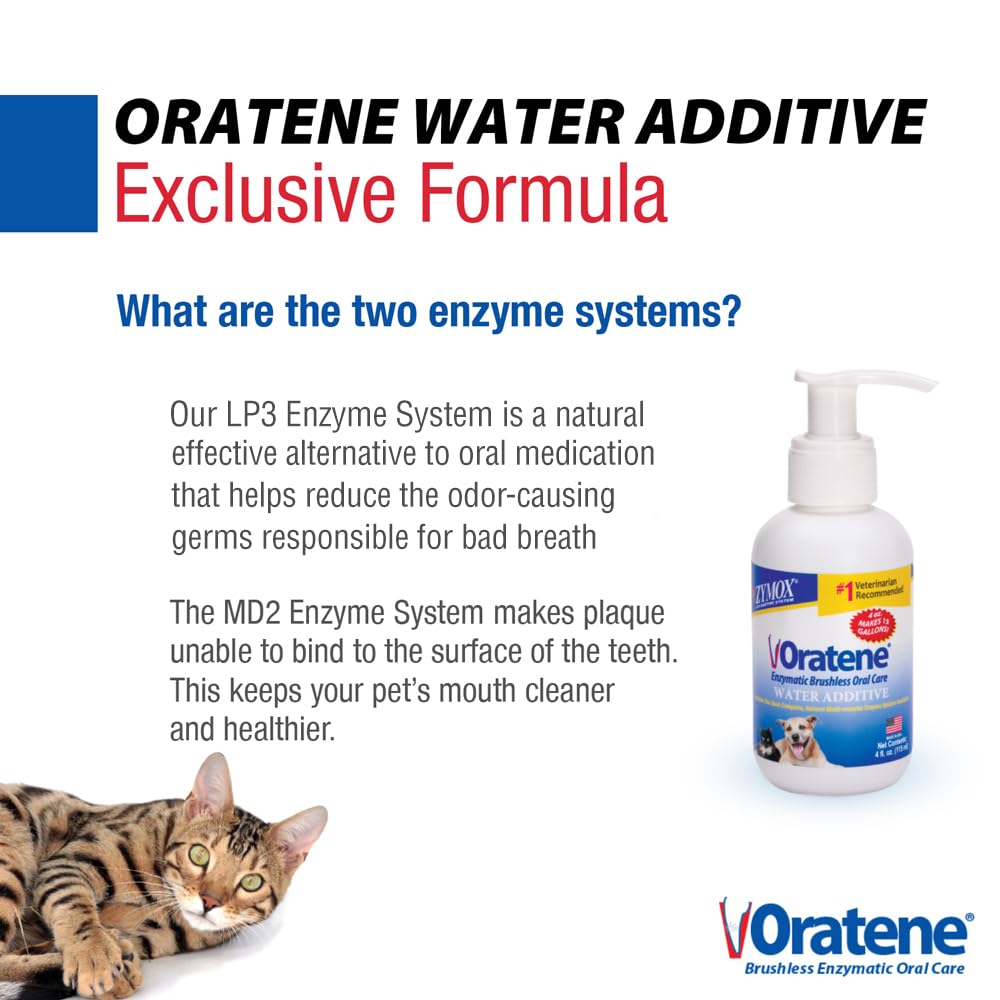 PET King Brands Zymox Oratene bottle on shelf for convenient home care.