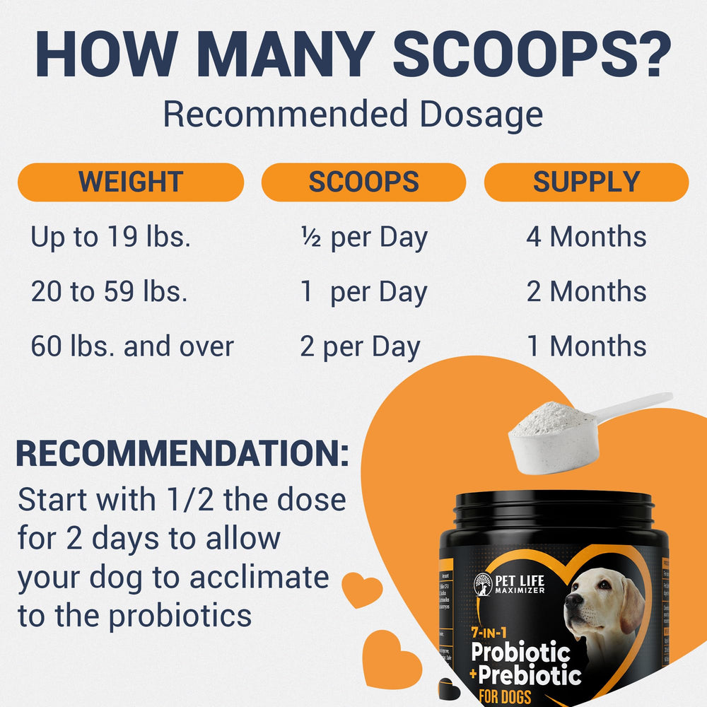 Pet Life Maximizer dry powder topper sprinkles easily on dog meals