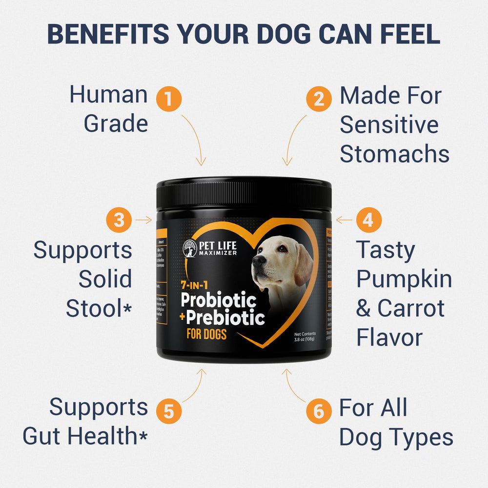 Pet Life Maximizer multi-strain probiotics for dogs promote healthy gut flora