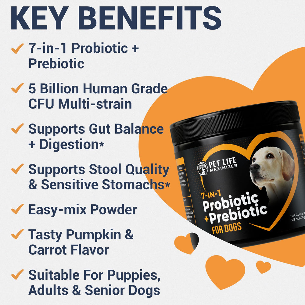 Pet Life Maximizer prebiotic and fiber topper enhances canine digestive comfort