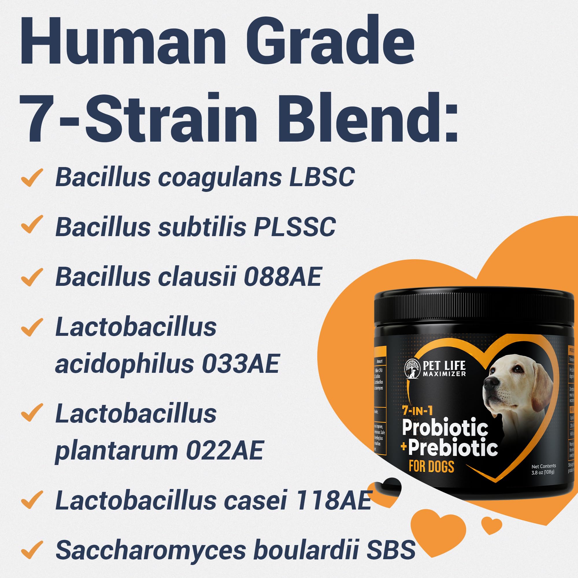 Pet Life Maximizer pumpkin-carrot flavored powder dogs love for daily topping