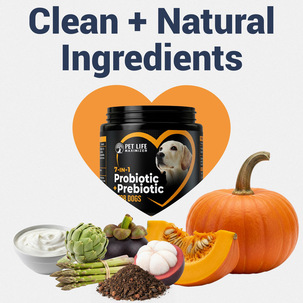 Pet Life Maximizer USA-made clean ingredients for canine wellness