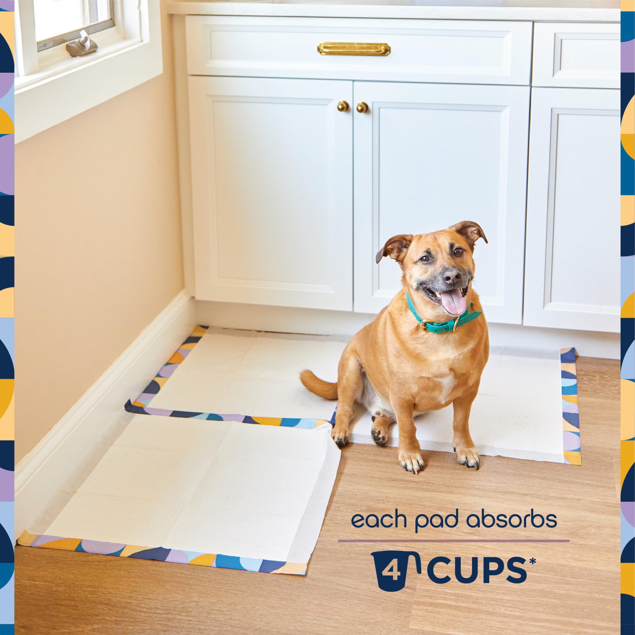 Pet Life Unlimited Create-A-Size pads kaleidoscope border adds style