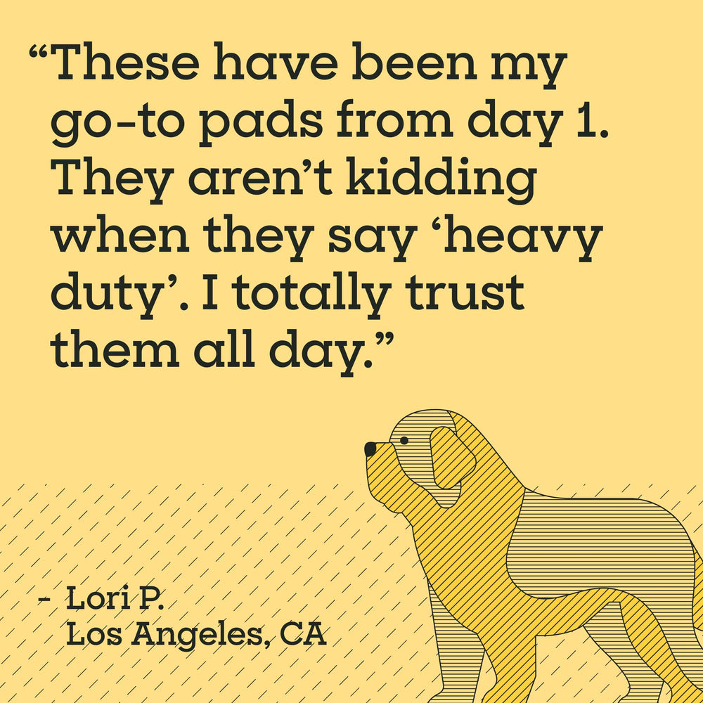 Pet Life Unlimited 3XL pad dries quickly to keep areas clean