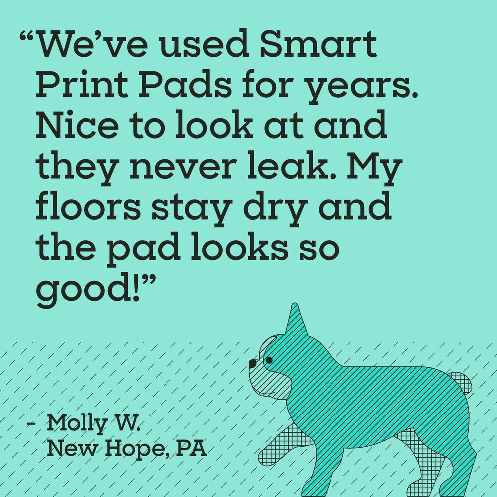Pet Life Unlimited Smart Prints pad supports two-pad setups for larger dogs.