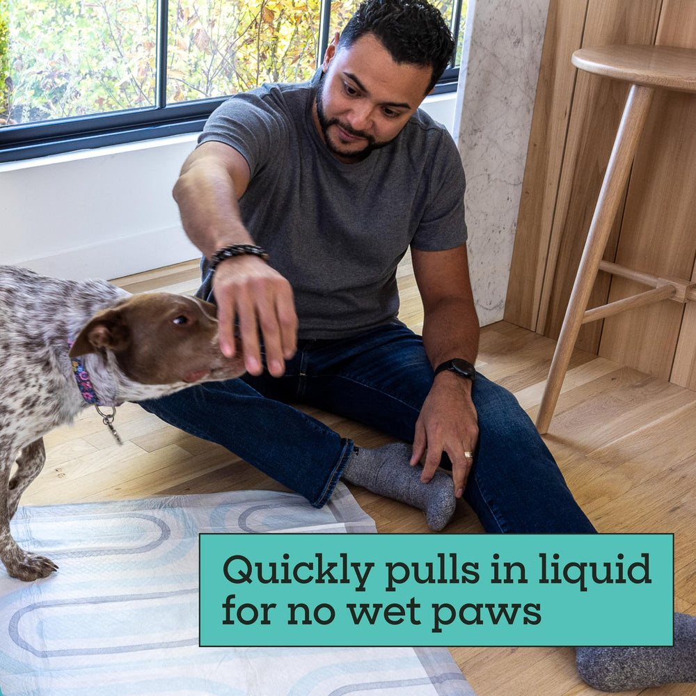 XL 26x30 size ideal for large puppies and dogs.