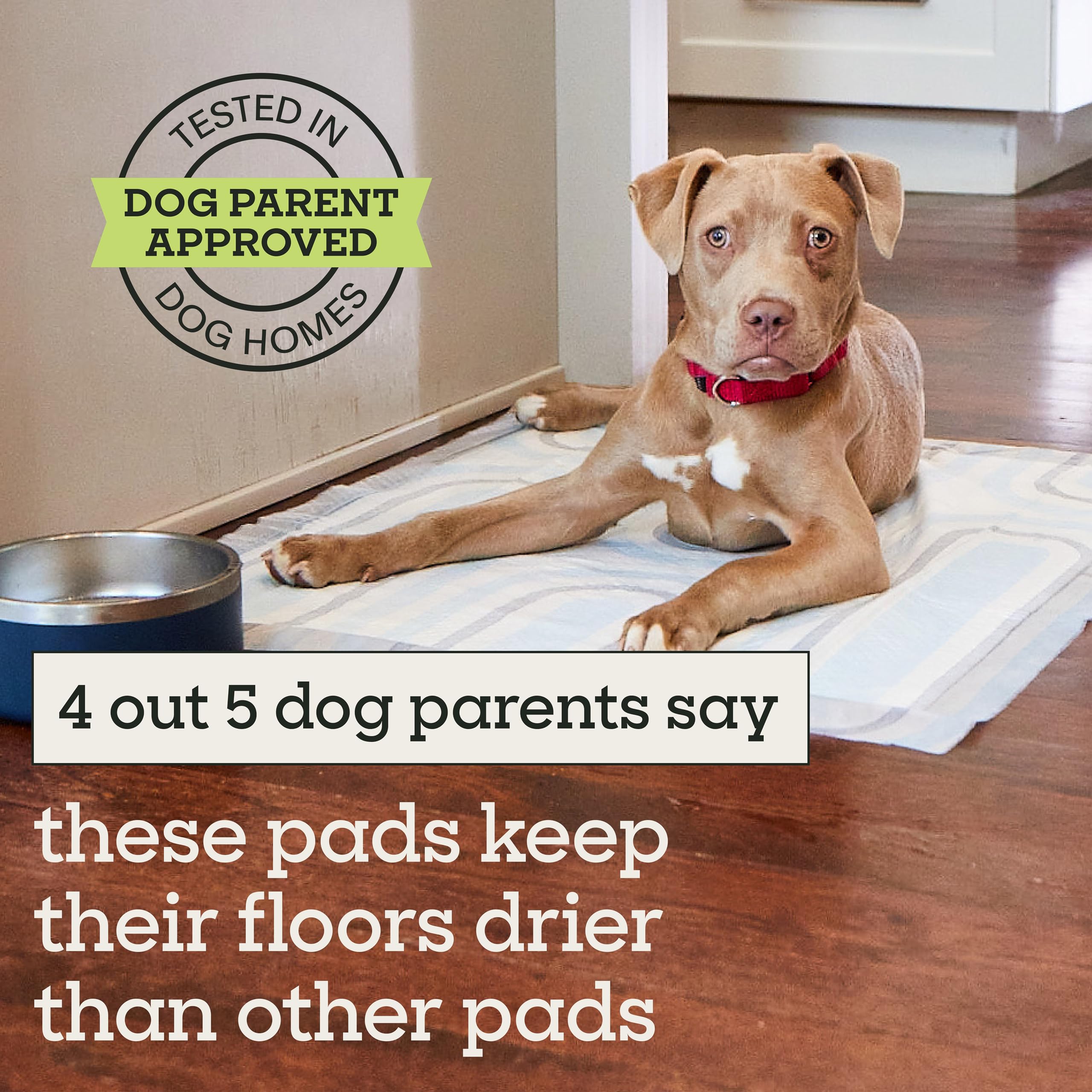 Magnolia Blossom fragrance release during wetness offers a fresh scent.