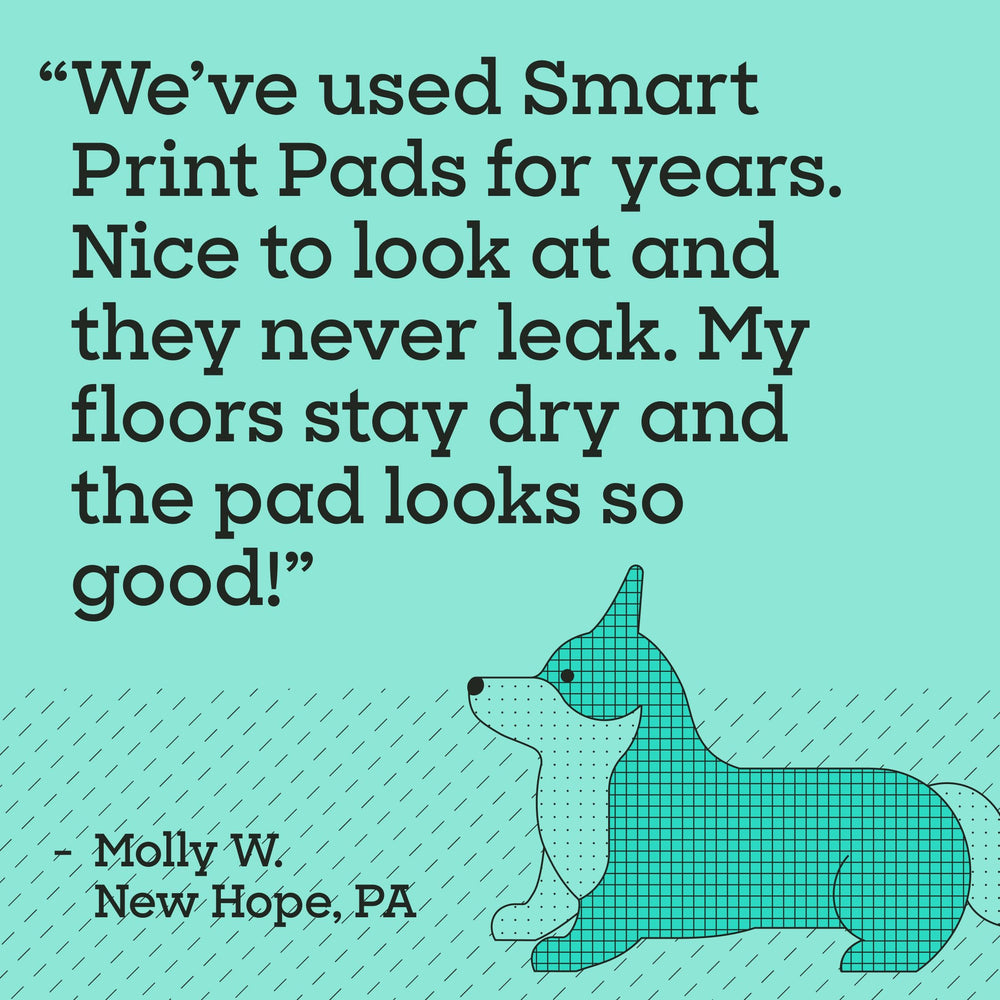 USA-made manufacturing highlights quality and local production.