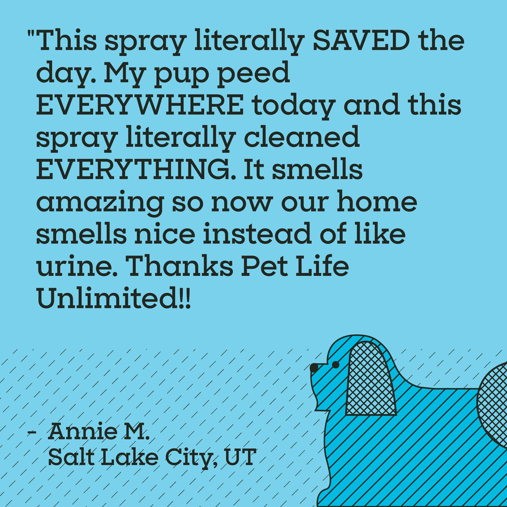Pet Life Unlimited SuperFoam Spray USA made and sold in a convenient pack of three