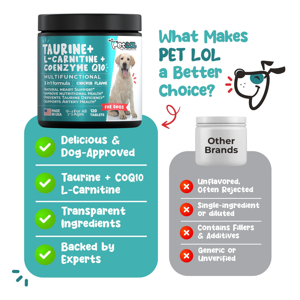 PET LOL active dog enjoying life with balanced heart support.