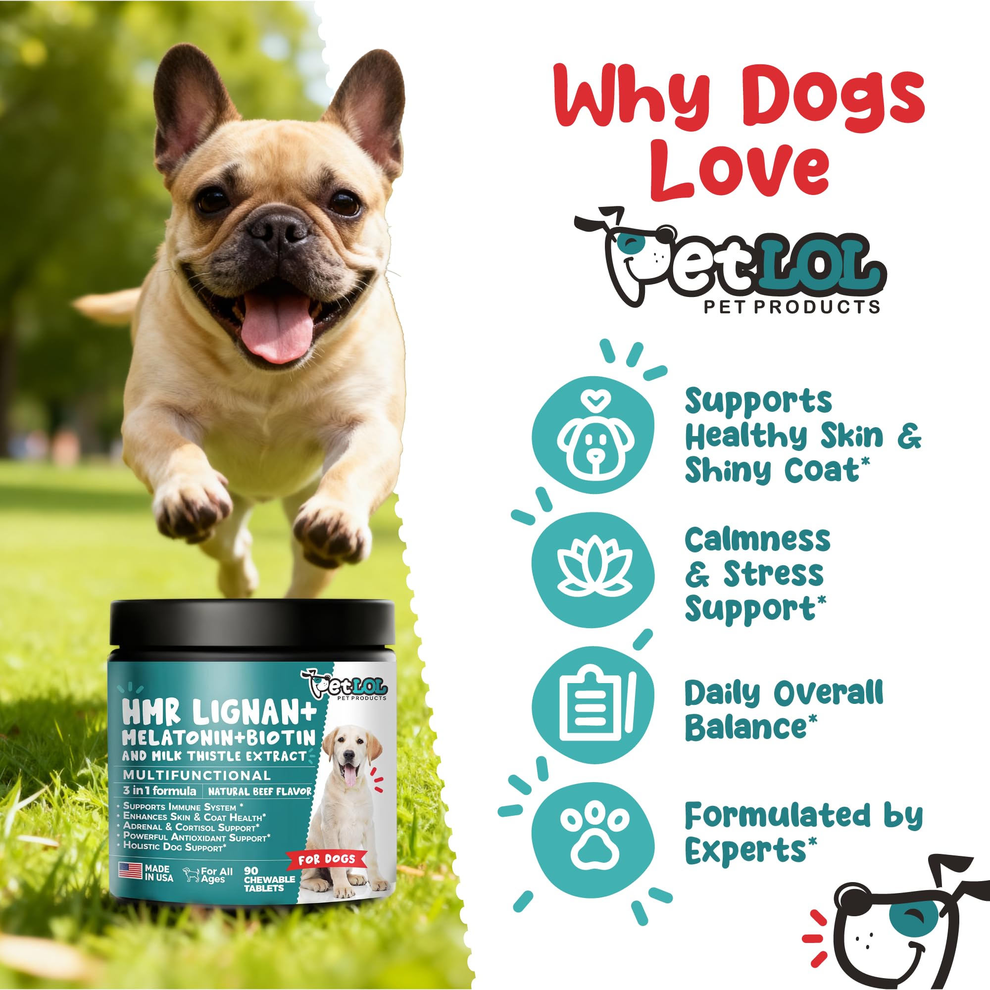 Pet LOL beef-flavor chews for dogs supporting coat health and digestion