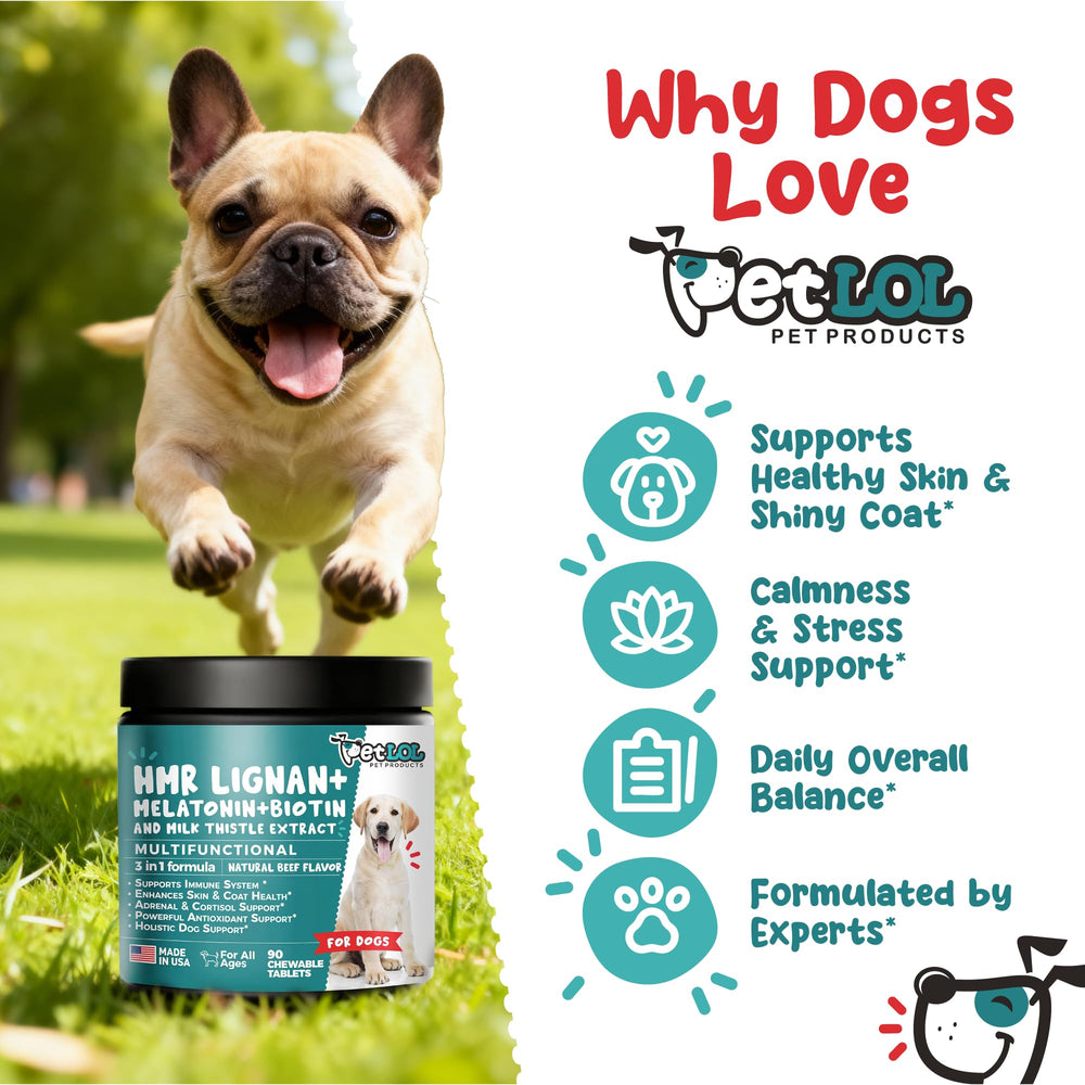 Pet LOL beef-flavor chews for dogs supporting coat health and digestion
