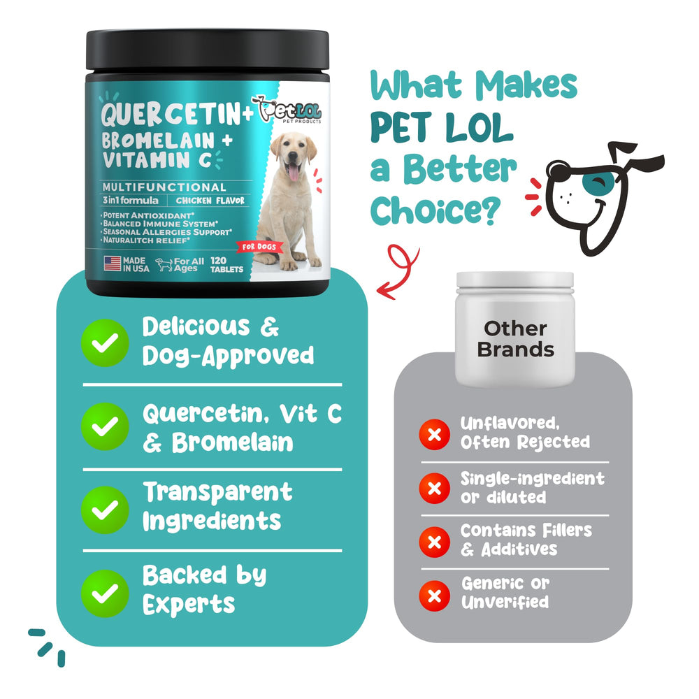 PET LOL Quercetin dog chew closeup, premium supplement texture and formulation.