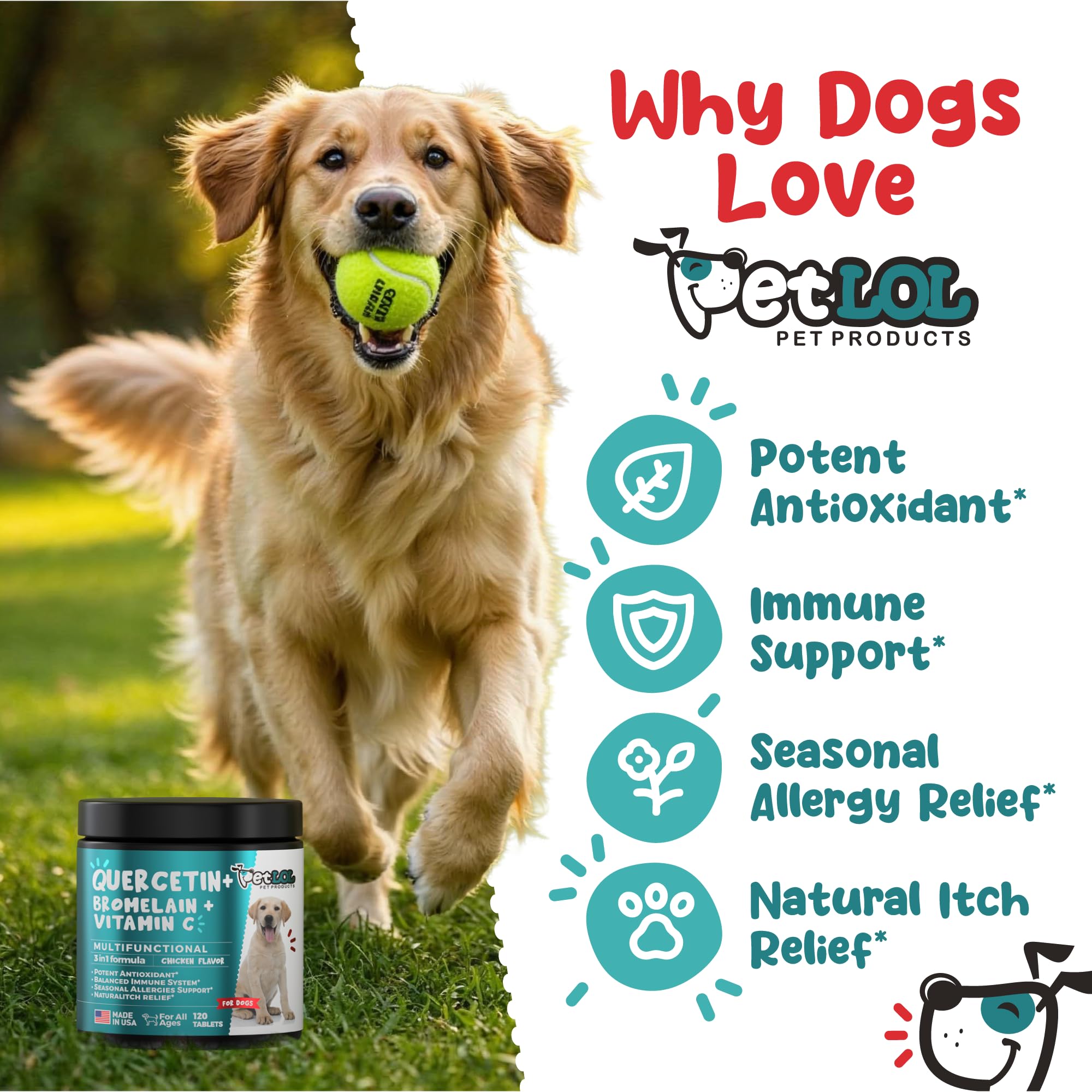 PET LOL Quercetin dog chew label, clear ingredient details for pets.
