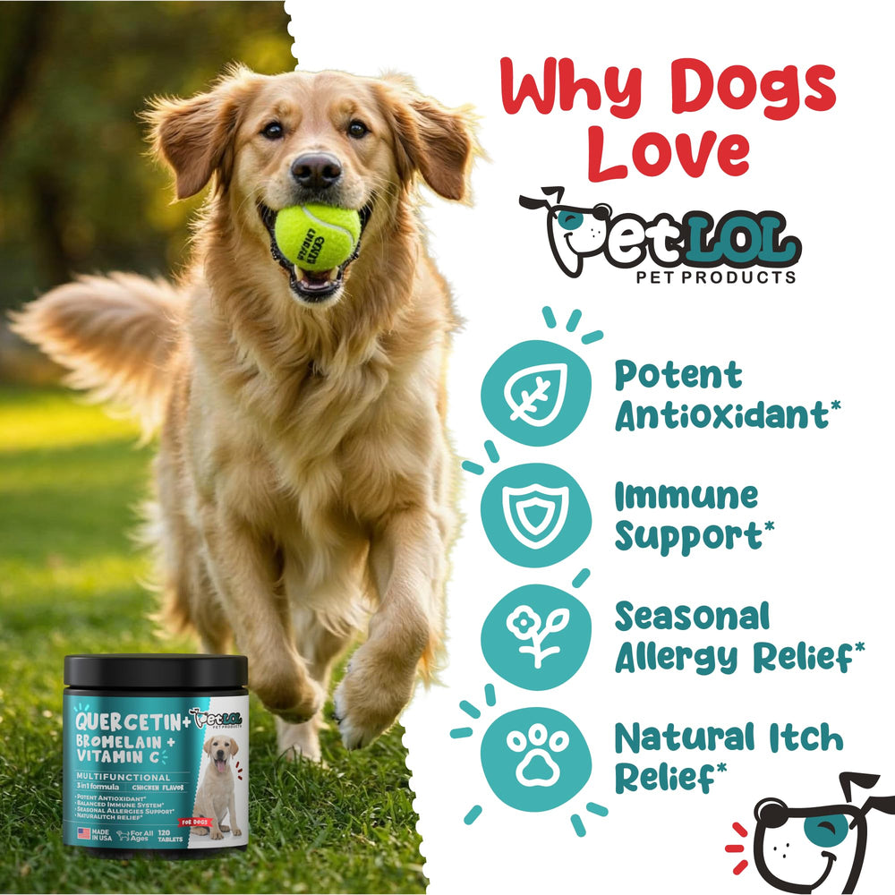 PET LOL Quercetin dog chew label, clear ingredient details for pets.