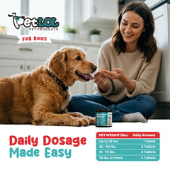 PET LOL Quercetin dog chew serving, tasty option to support comfort.