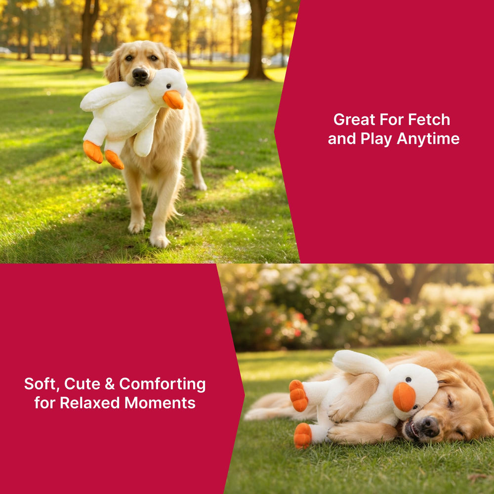 Pet Lou 15-inch duck toy ideal for medium and large dogs during indoor play.