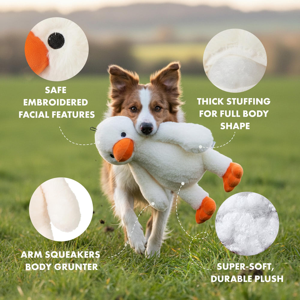 Pet Lou duck plush toy showing squeaker in the arms for engagement.