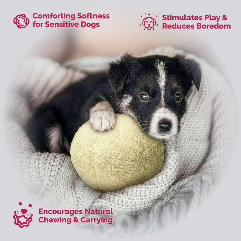 Pet Lou durable plush material endures tossing and tugging for long play