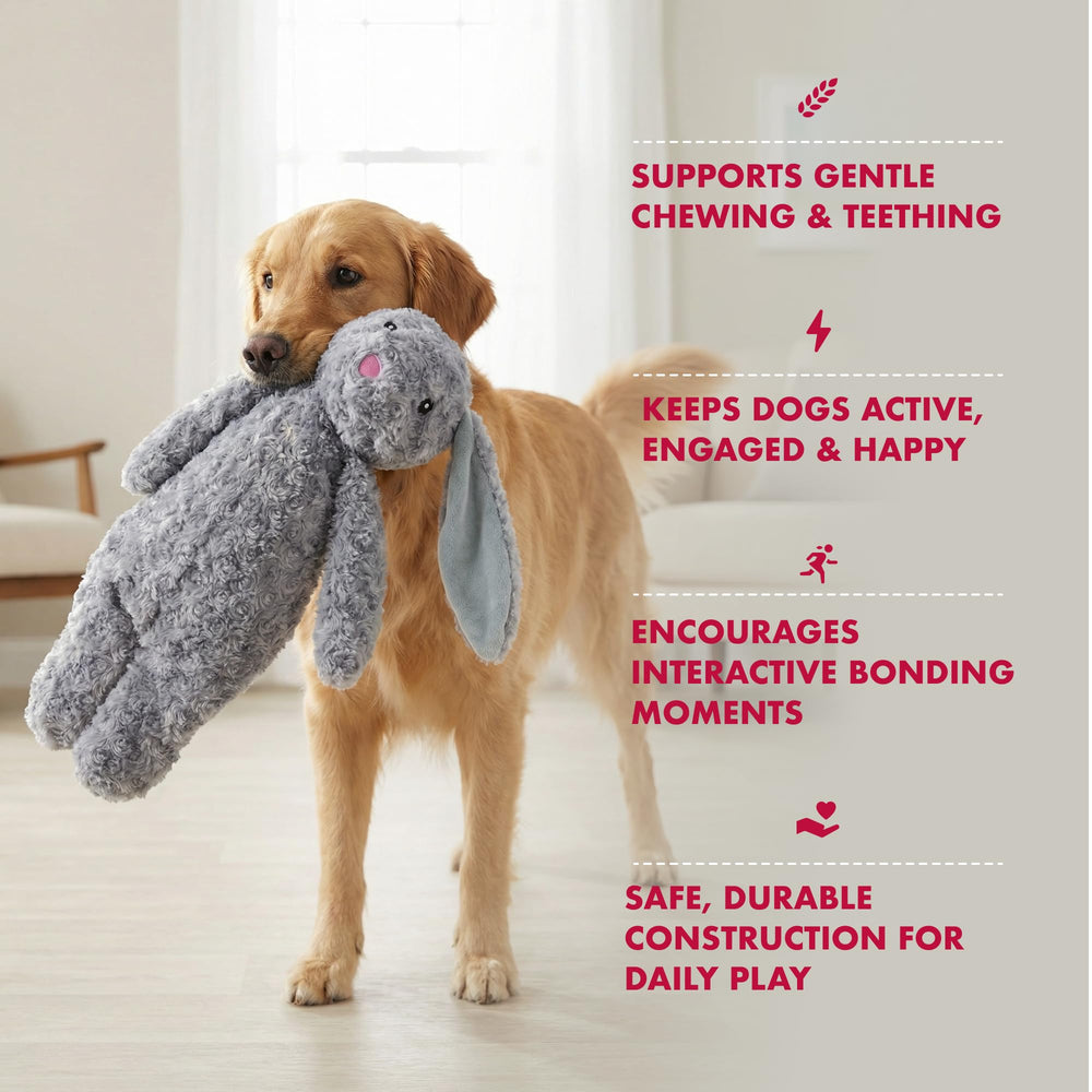 Pet Lou lightweight, easy-to-grab rabbit toy for indoor or outdoor fun